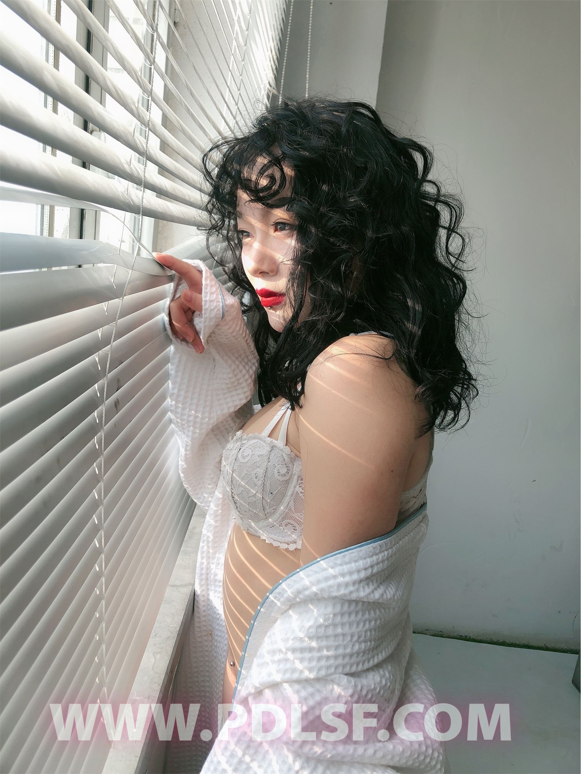 PDL潘多拉 2020.02.03 专辑No.277